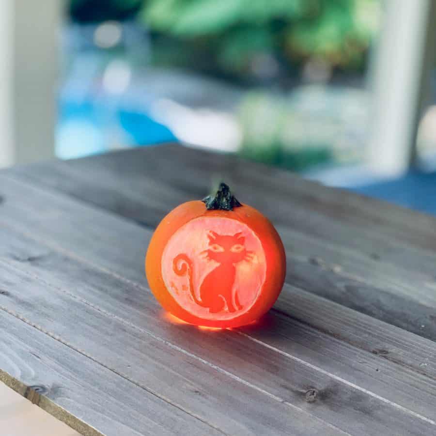 small pumpkin on table with image of cat etched on it, pumpkin is lit inside