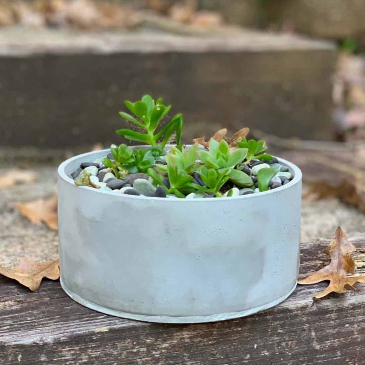 DIY Large Concrete Silicone Mold For A Planter Artsy Pretty Plants