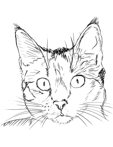 57 Cute Coloring Pages Realistic  Best HD