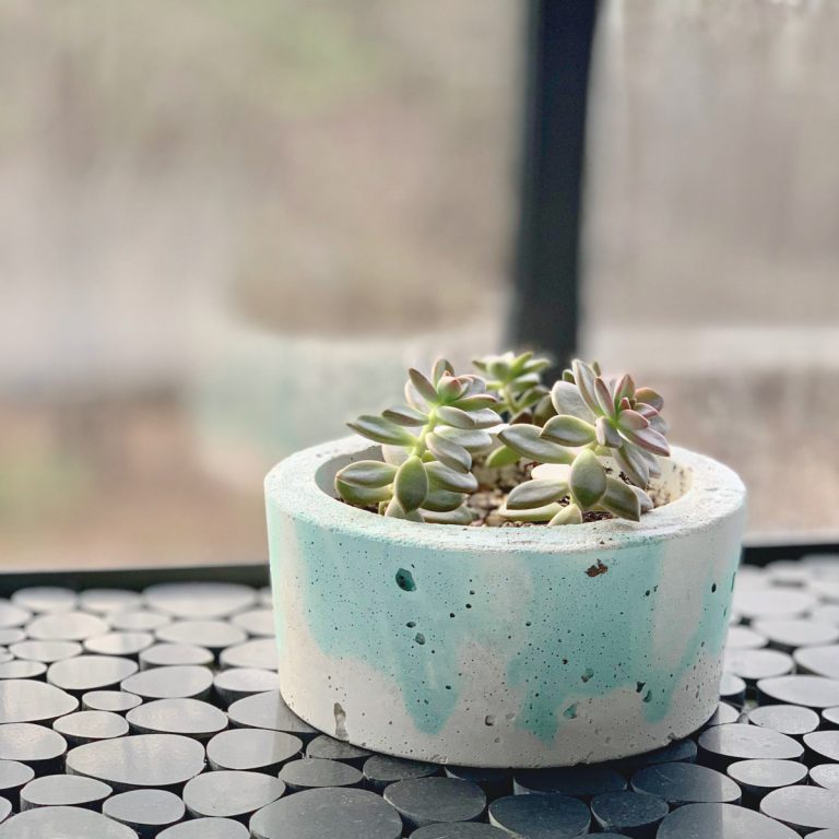 How to Seal a Concrete Planter (And When You Shouldn't) Artsy Pretty