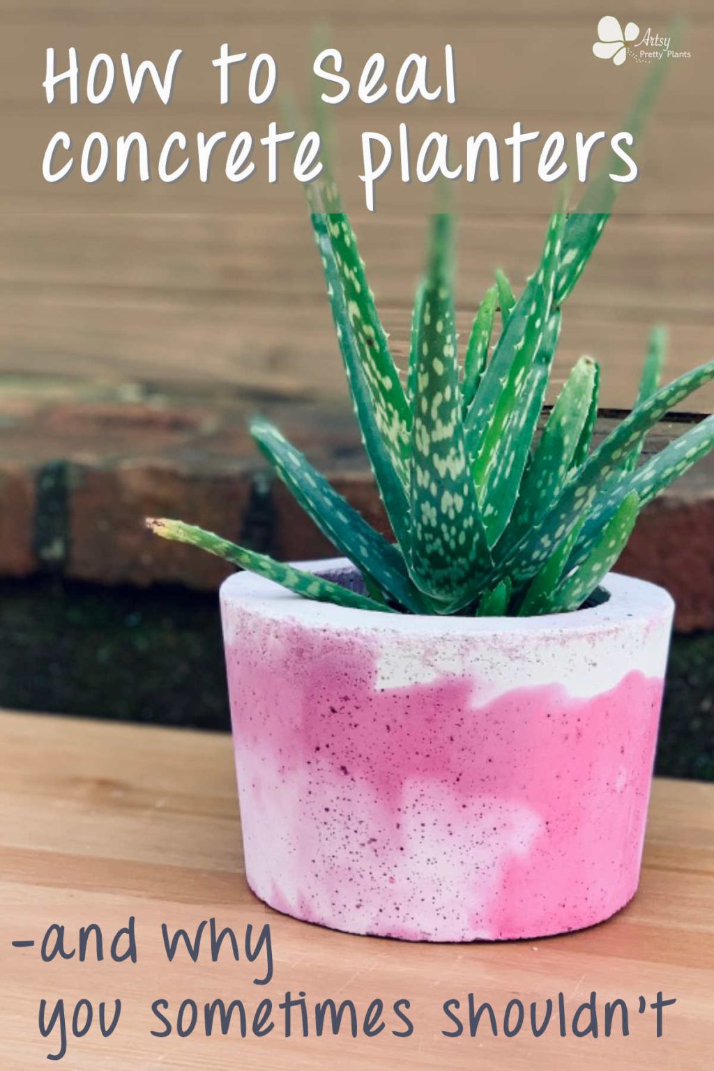 How to Seal a Concrete Planter (And When You Shouldn't) Artsy Pretty