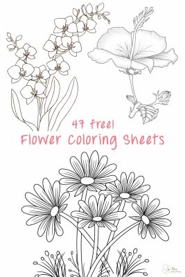 47 Best Flower Coloring Sheets For Free - Artsy Pretty Plants