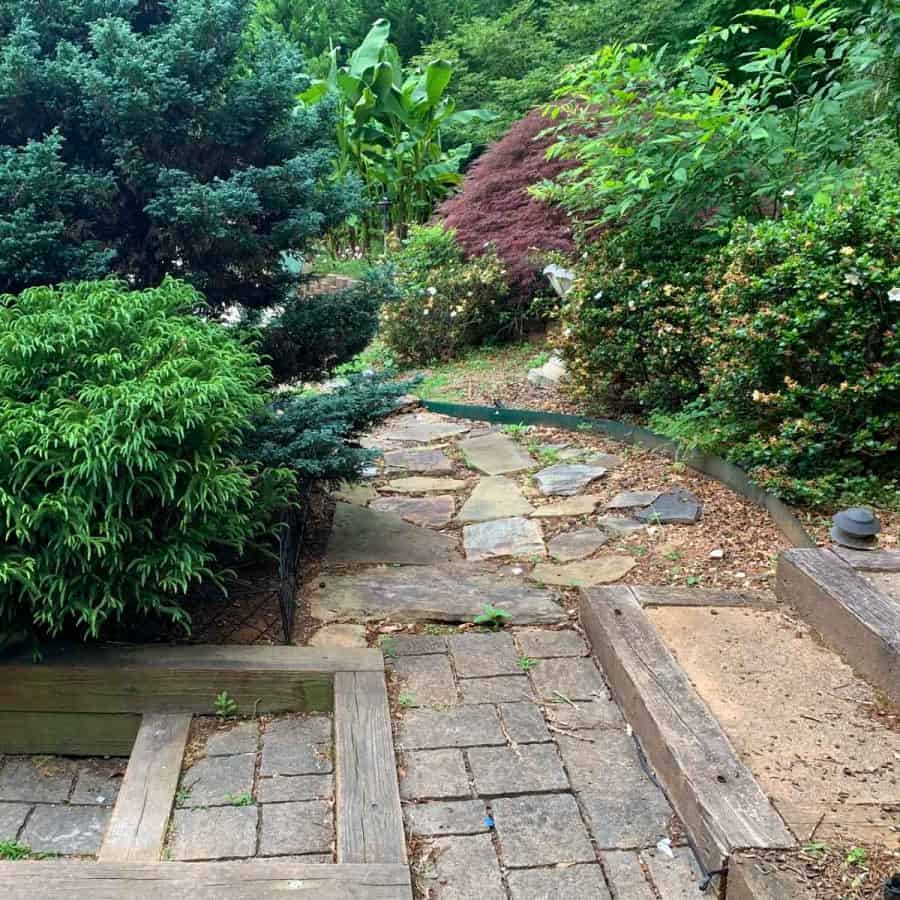 overgrown garden area with disheveled flagstones, uneven pavers, and weeds