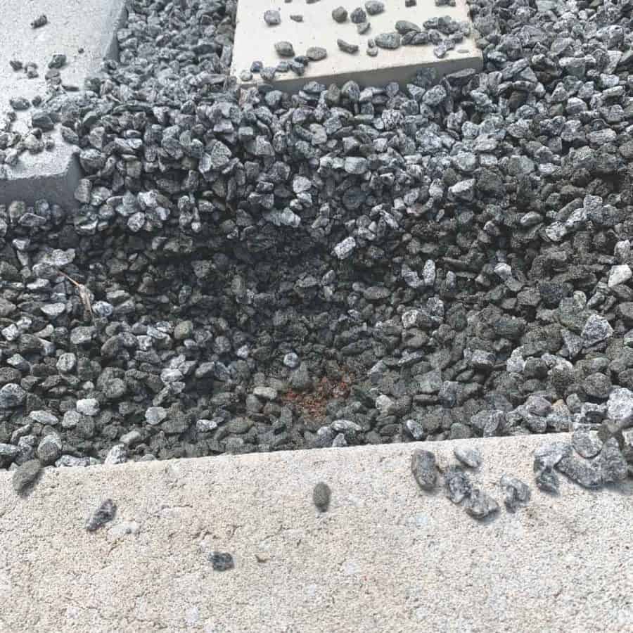 gravel shoved aside with hole created for plant to fit