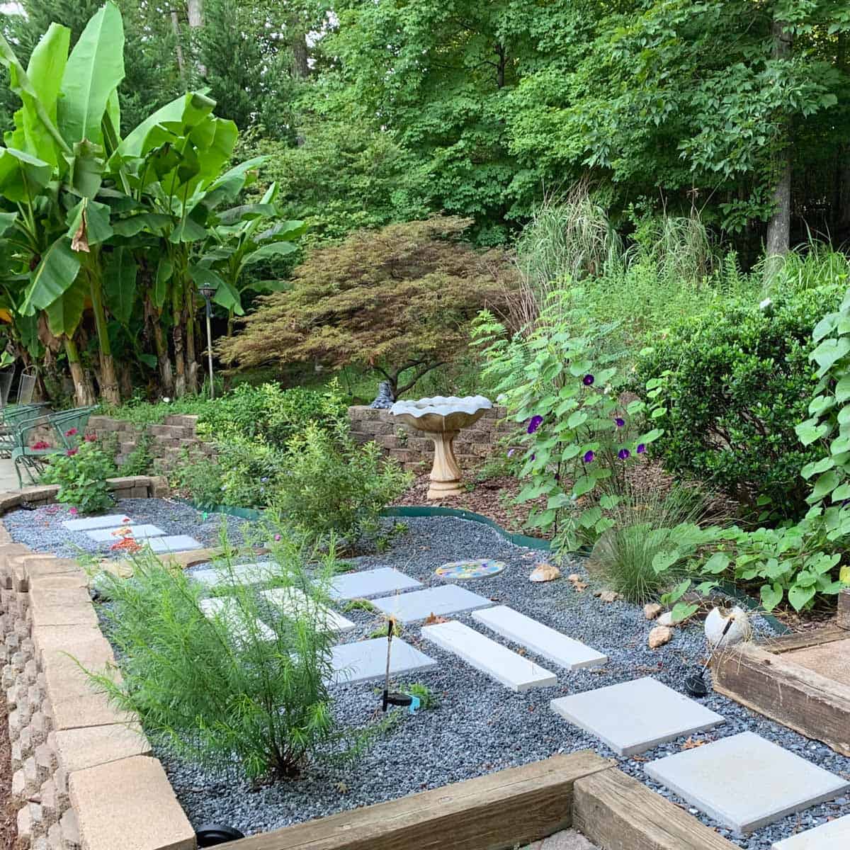 garden filled with gravel, planted with lush plants and step-ins stones with vegetation between.