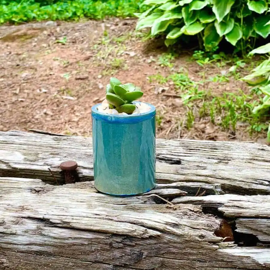 a planter coated with blue epoxy glistening in the sun