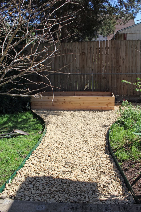 A pea gravel path lined with gras and an herb garden box at the end of the gravel path.