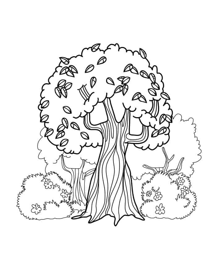 coloring pages for kids plants