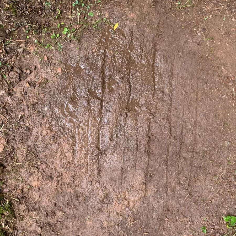 wet dirt with lines scratched into it