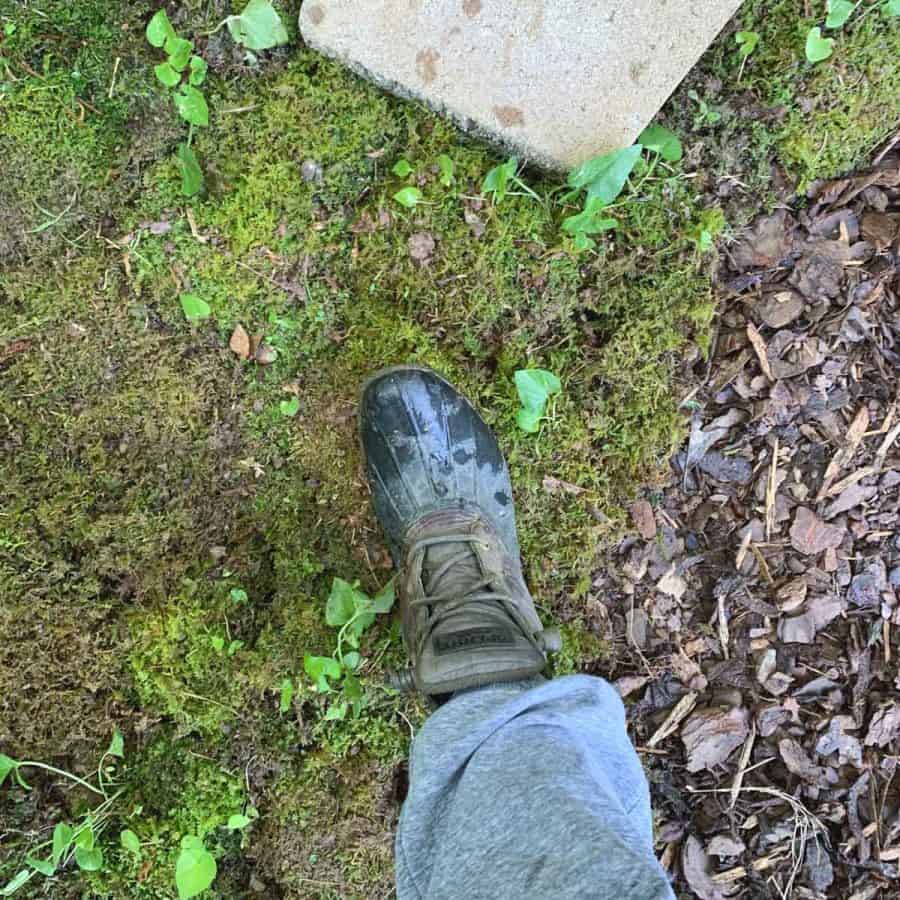 a boot stepping on sheets of moss