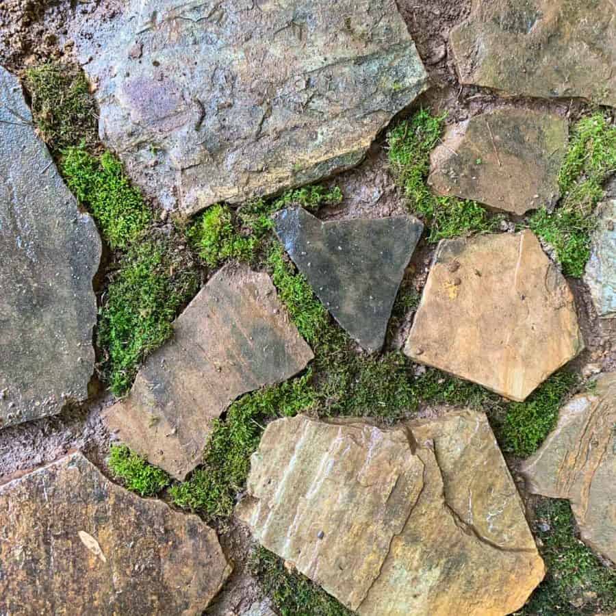 pieces of moss latin between the crevices and gaps between the flagstones