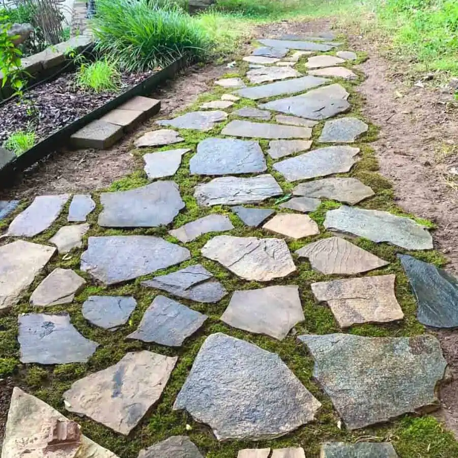 A garden area with flagstones laid down next to it arranged in a pattern, with moss growing in the gaps.
