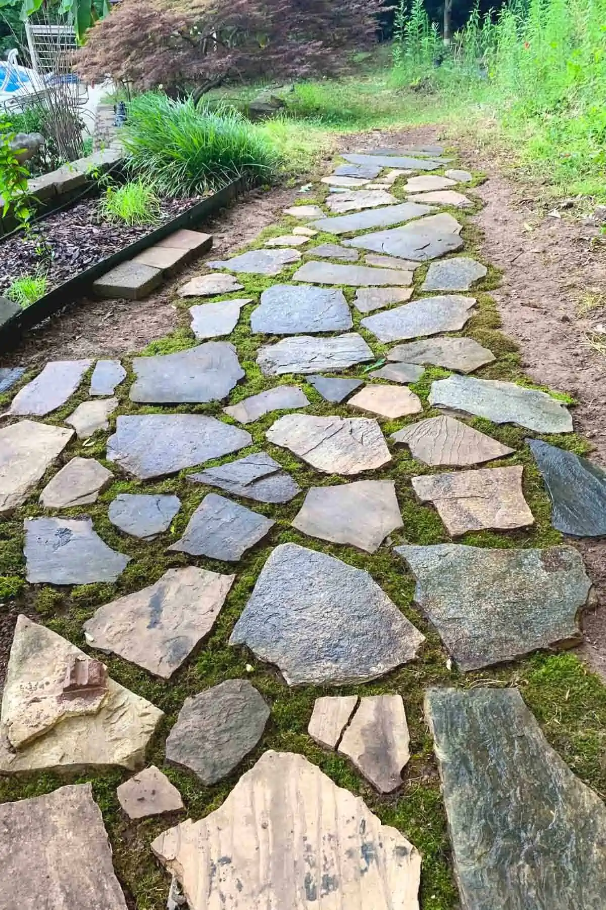 A garden area with flagstones laid down and arranged to fit, with moss growing in the gaps.