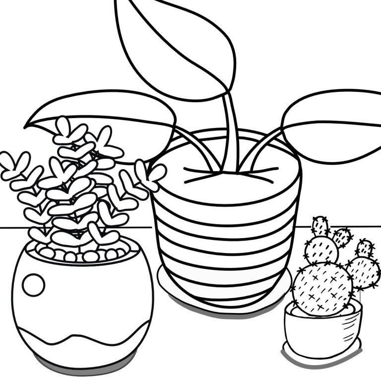 19 Coloring Pages of Plants –For Free