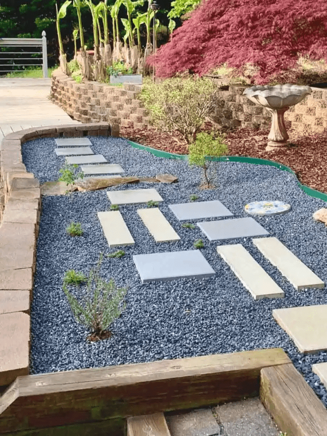 DIY Gravel Garden: Easy & Low Maintenance! Story