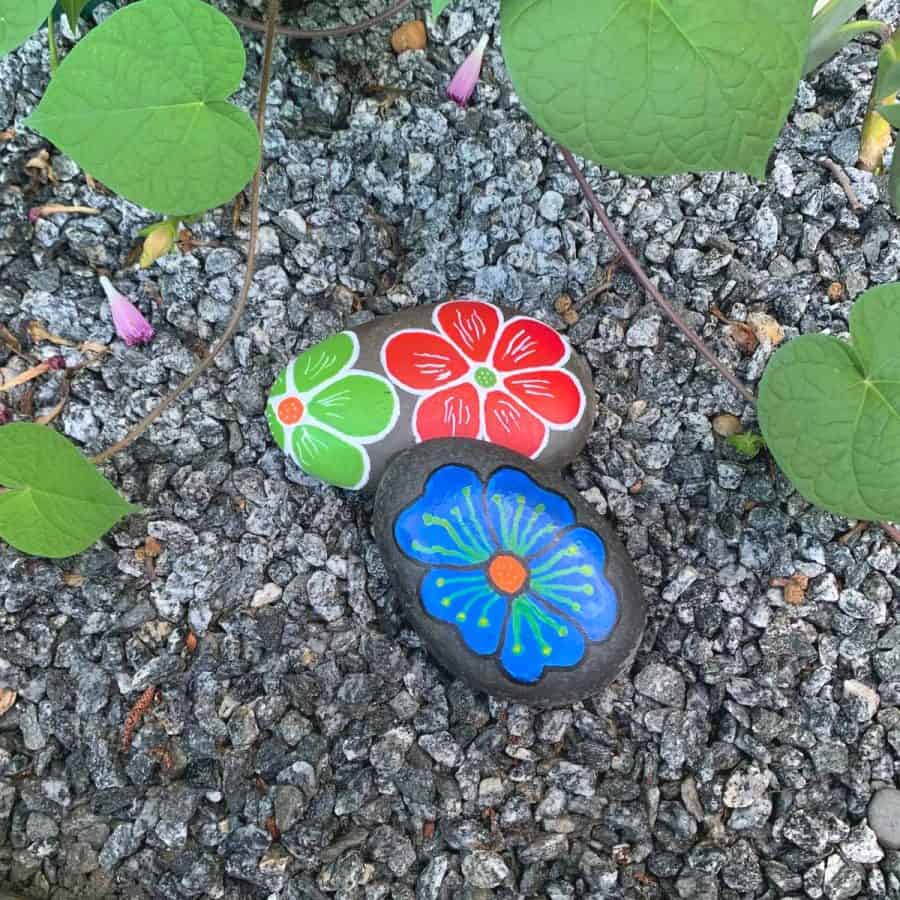 rocks with detailed white lines painted on top of colored petals