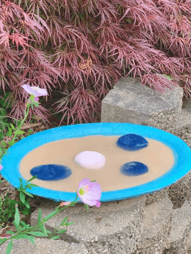 DIY Concrete Butterfly Puddler: Attract Butterflies! Story