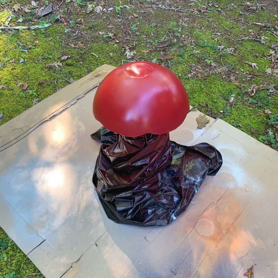 mushroom on cardboard with base wrapped in plastic and top painted red