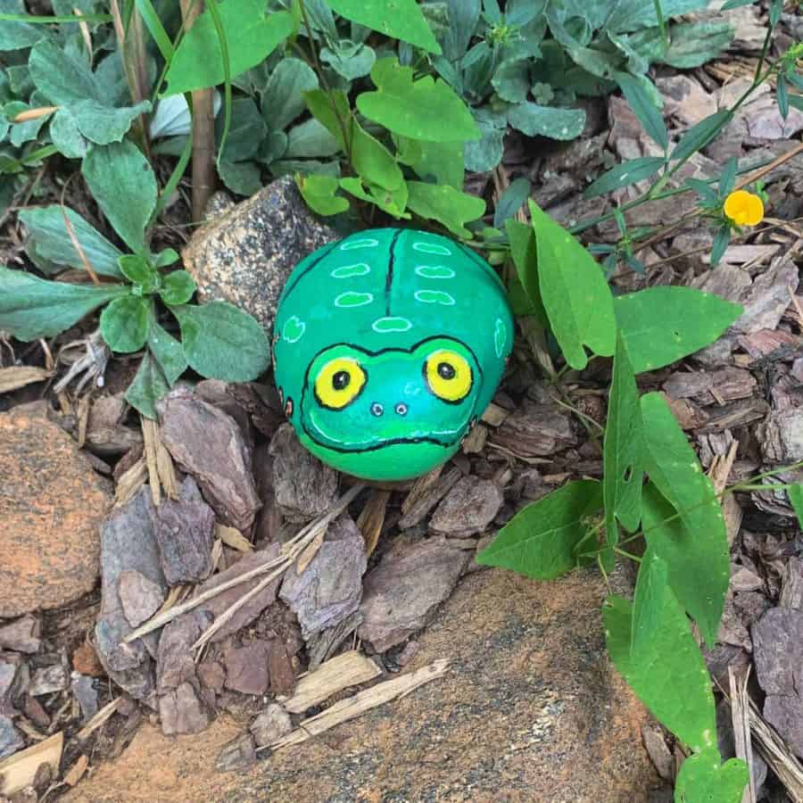 a painted rock frog in a garden