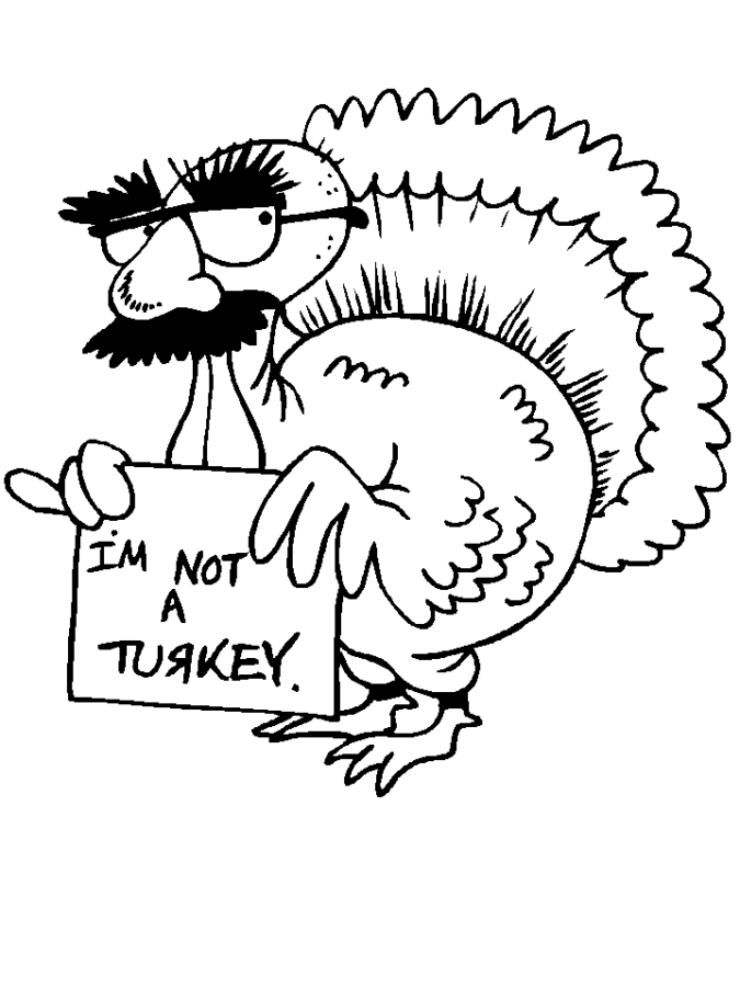 Funny turkey with mustache
