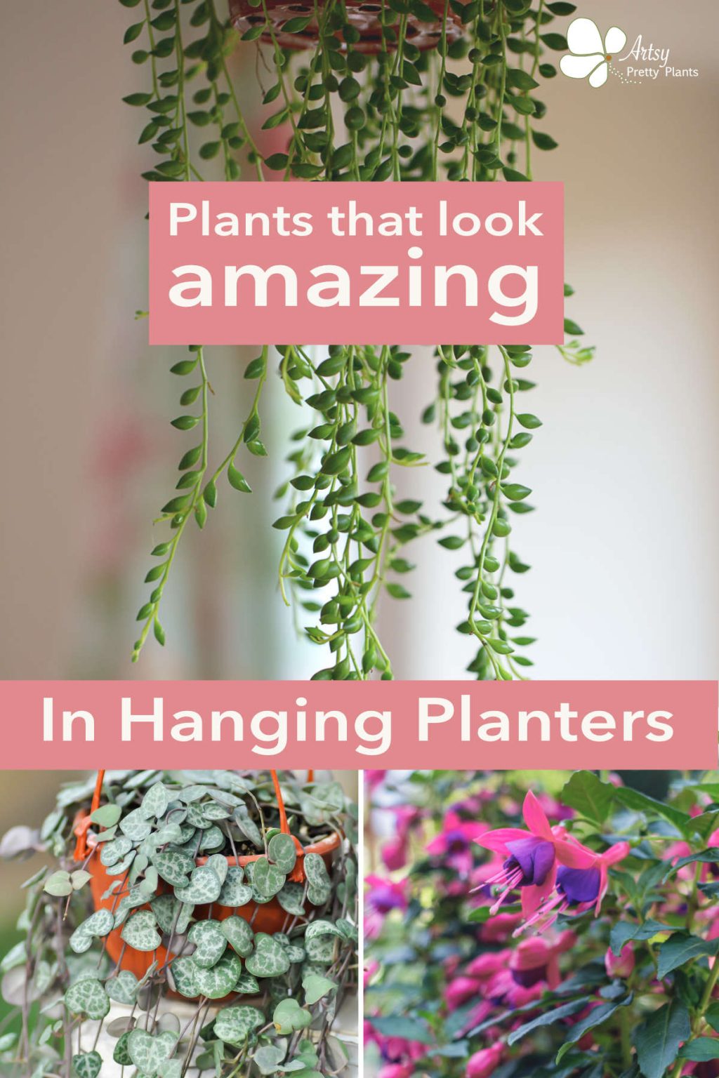 25 Best Plants for Hanging Planters (Indoors or Outdoors) Artsy