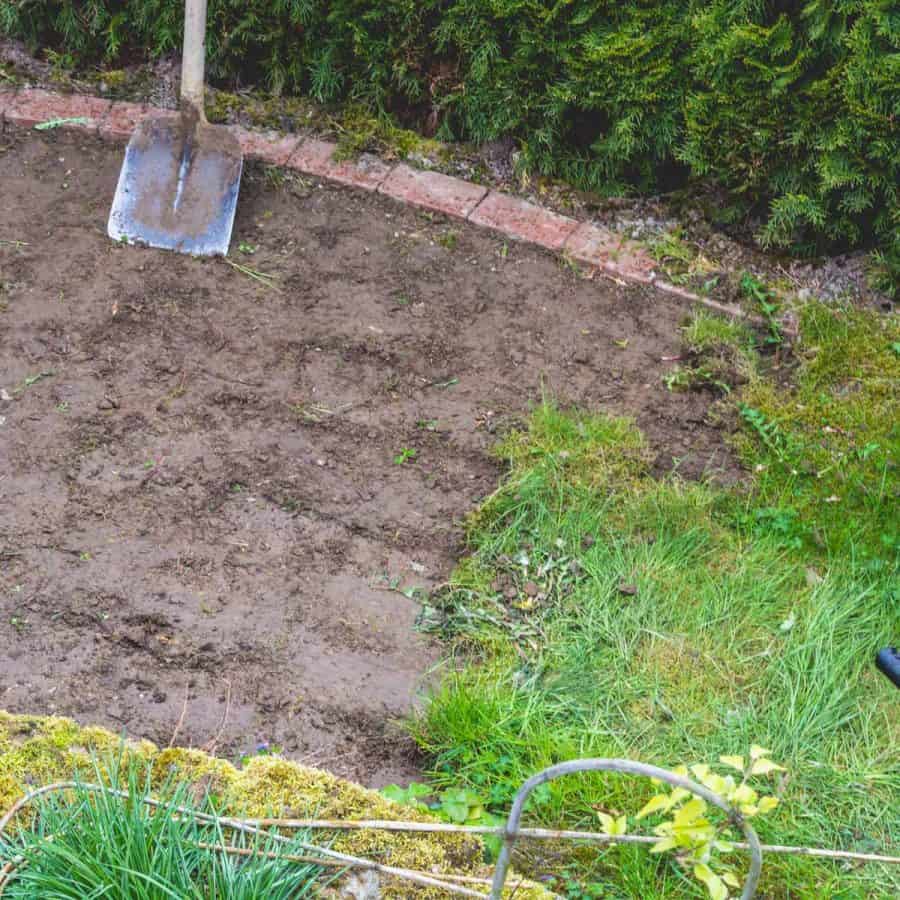 A garden with the top layer of soil removed and a shovel standing at the back.