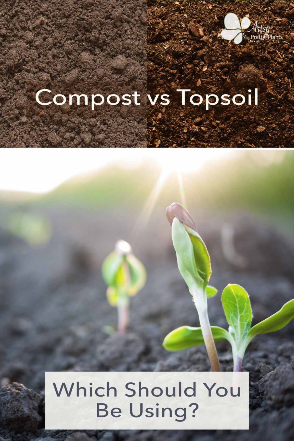 Compost vs. Topsoil (Which Do You Need & Why?) Artsy Pretty Plants