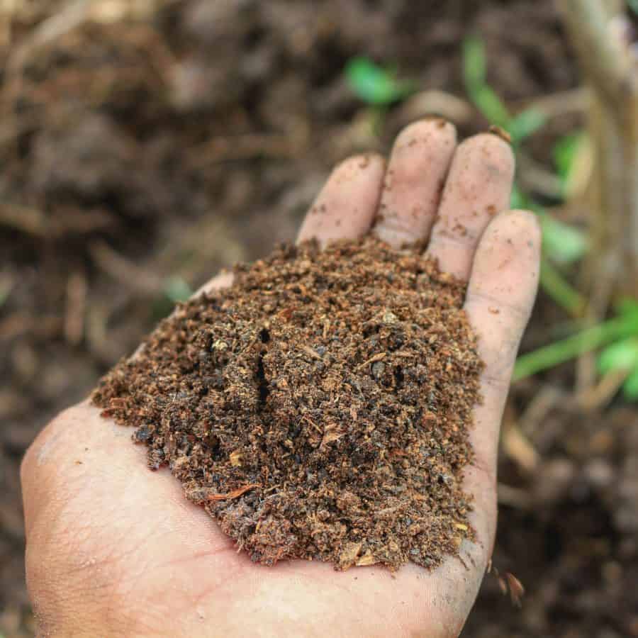 A hand holding a handful of compost.