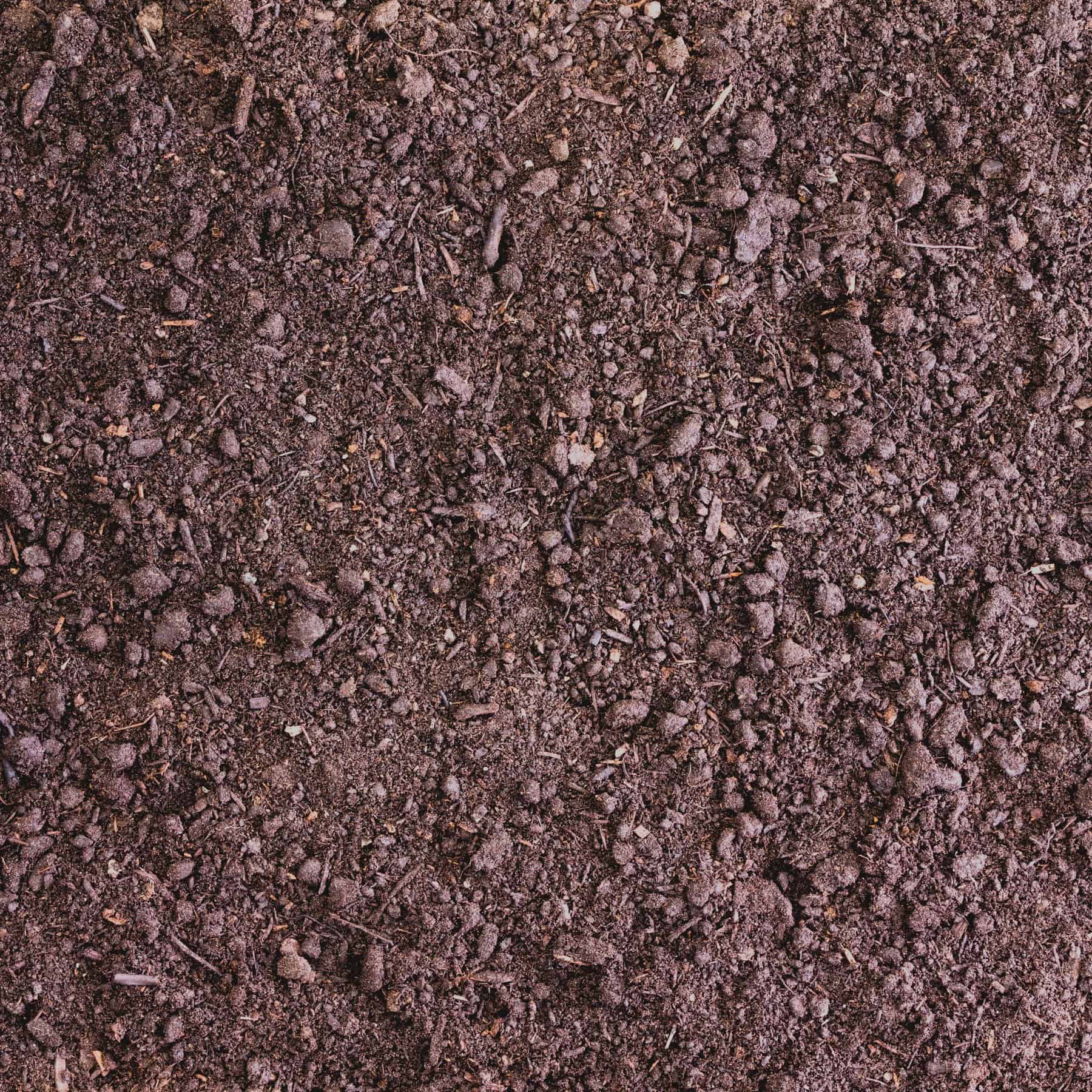 Compost vs. Topsoil (Which Do You Need & Why?) Artsy Pretty Plants