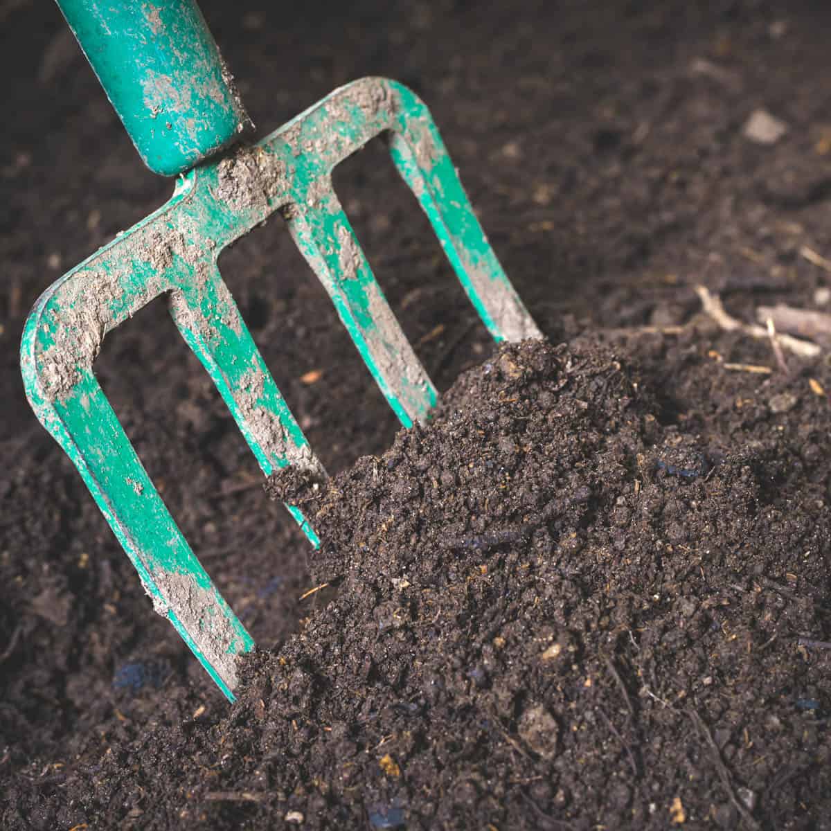 Composting Pros and Cons Is It Right For You? Artsy Pretty Plants