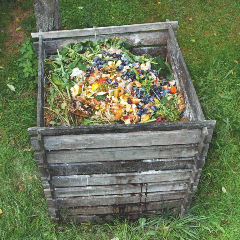 Composting Pros and Cons Is It Right For You? Artsy Pretty Plants