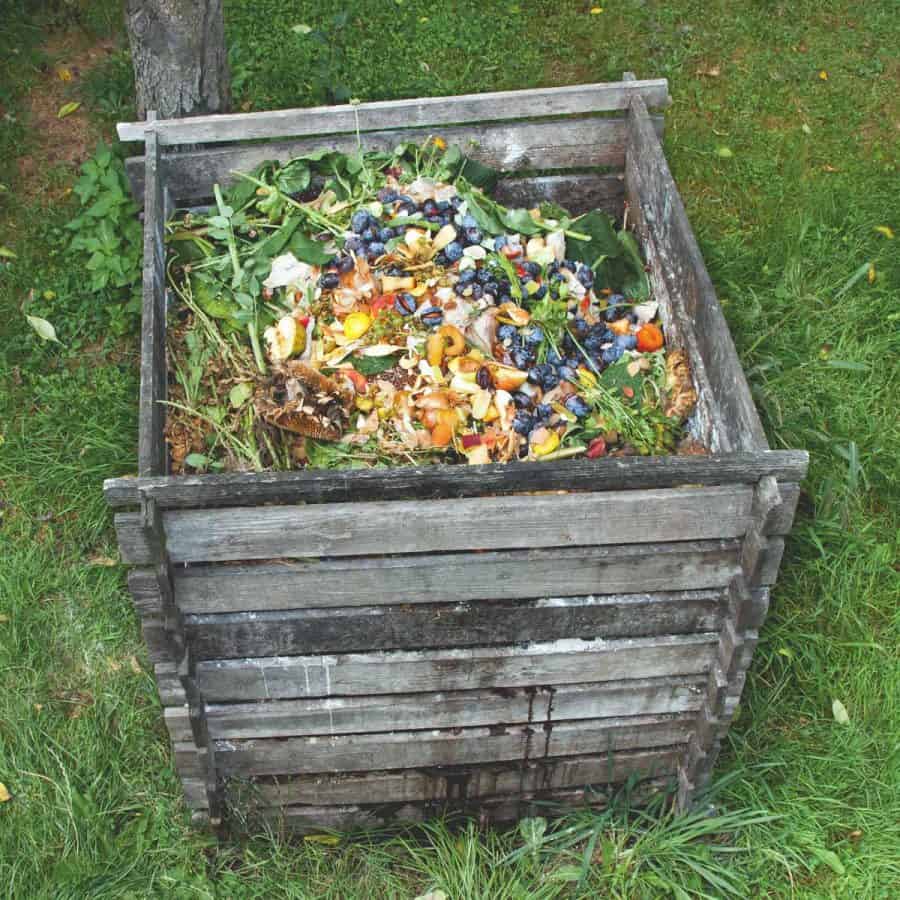 A large bin of messy compost scraps and yard waste in a scraggly-looking old wood bin.