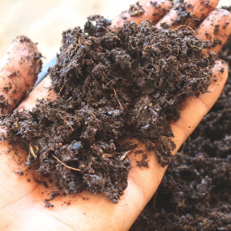 Composting Pros and Cons Is It Right For You? Artsy Pretty Plants