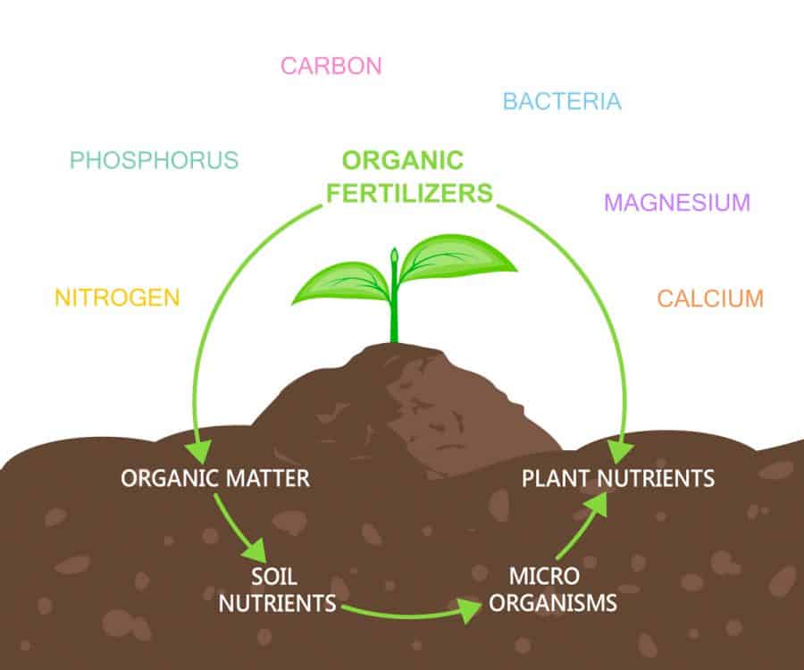 A chart showing the cycle of composting and how it organically fertilizes the soil and plants get nutrients.