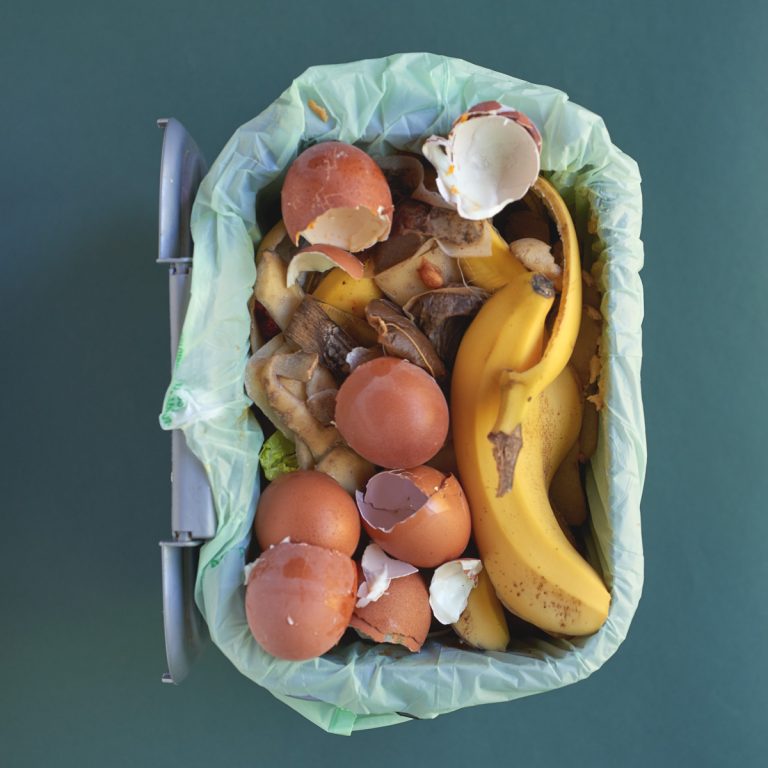 Composting Pros and Cons Is It Right For You? Artsy Pretty Plants