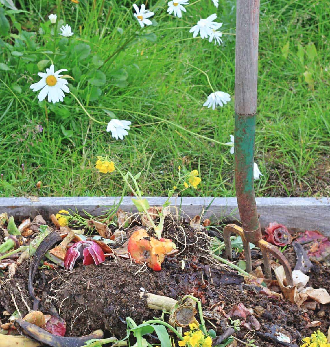 Composting Pros and Cons: Is It Right For You?