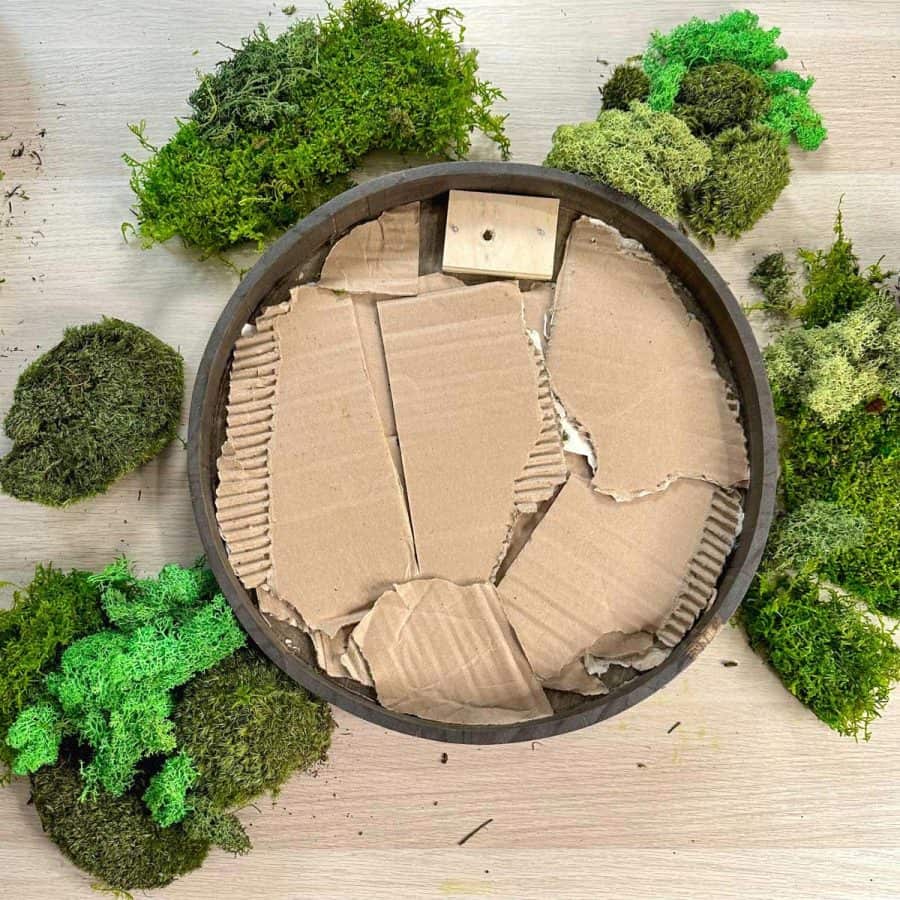 Tray with cardboard glued to the bottom and pieces of moss positioned around the outside of tray.