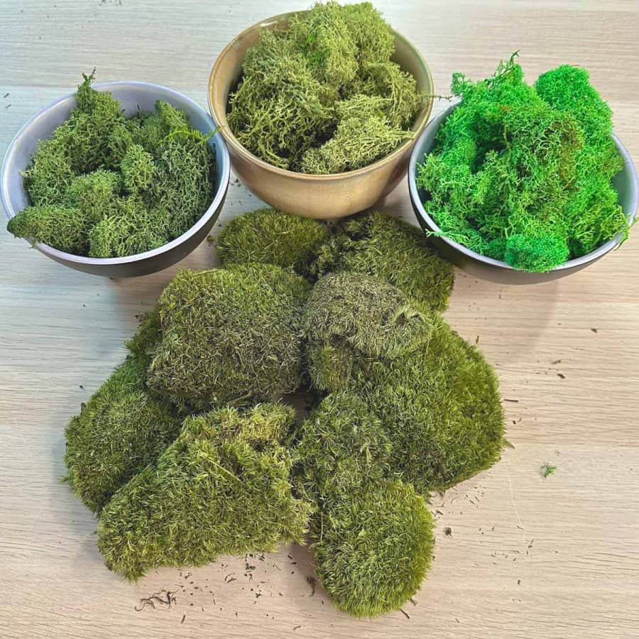 materials for making DIY moss wall art. Reindeer moss in 3 colors and Pole moss.