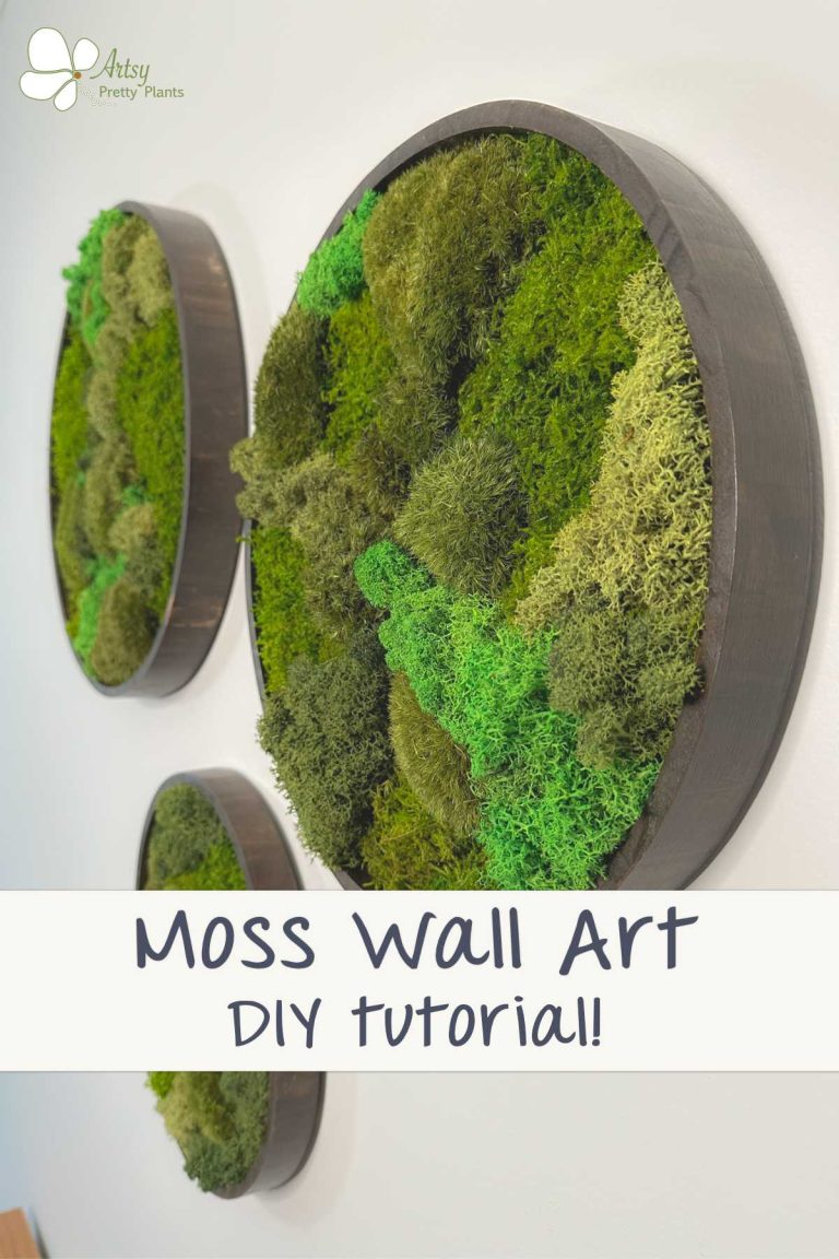 Make Beautiful DIY Moss Wall Art - Artsy Pretty Plants