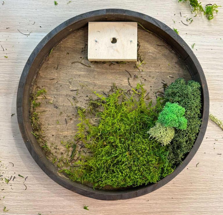 Make Beautiful DIY Moss Wall Art Artsy Pretty Plants
