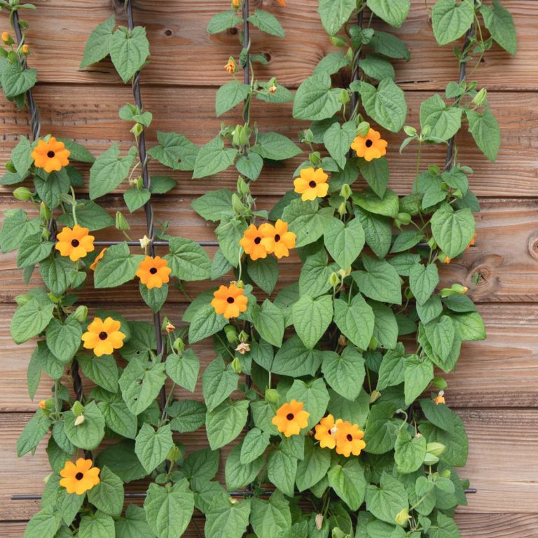 35 Perfect Climbing Plants for a Trellis Artsy Pretty Plants