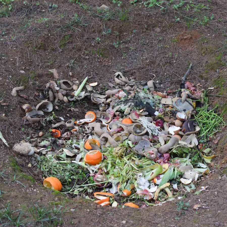 A hold dug into the ground, filled with organic food waste.