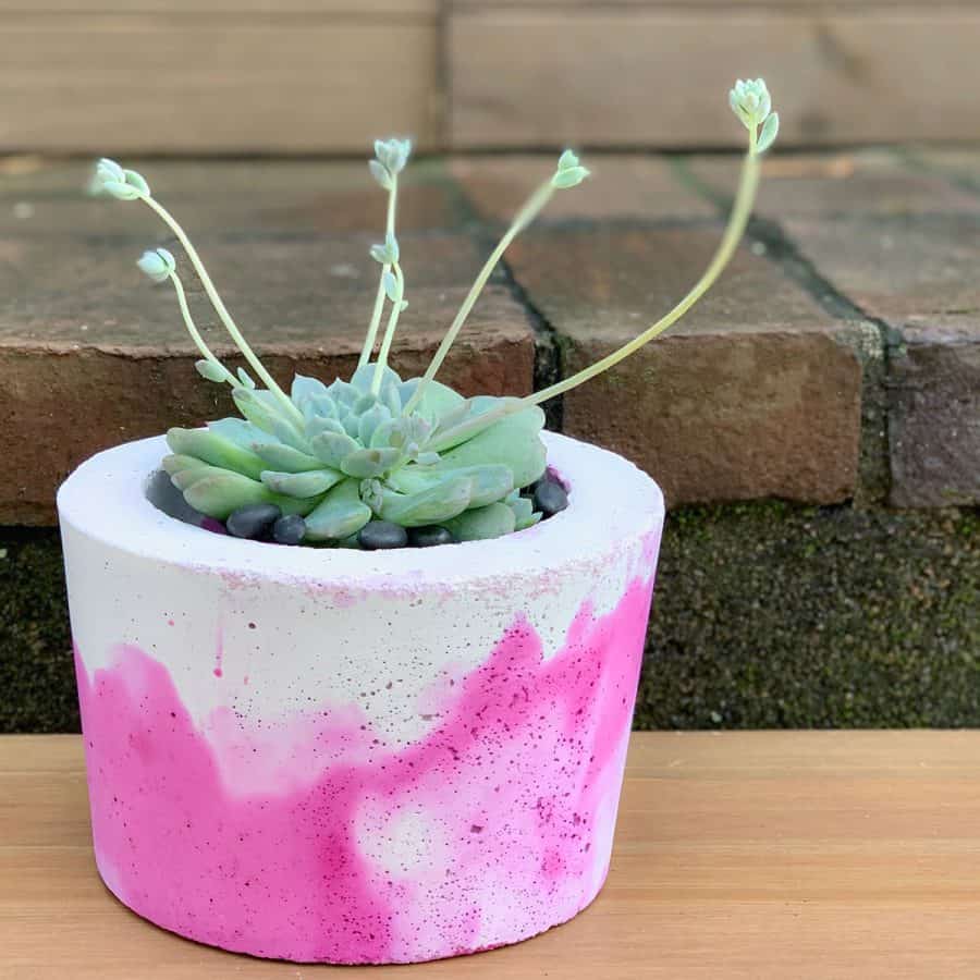 A white planter with vibrant magenta marbled coloring.