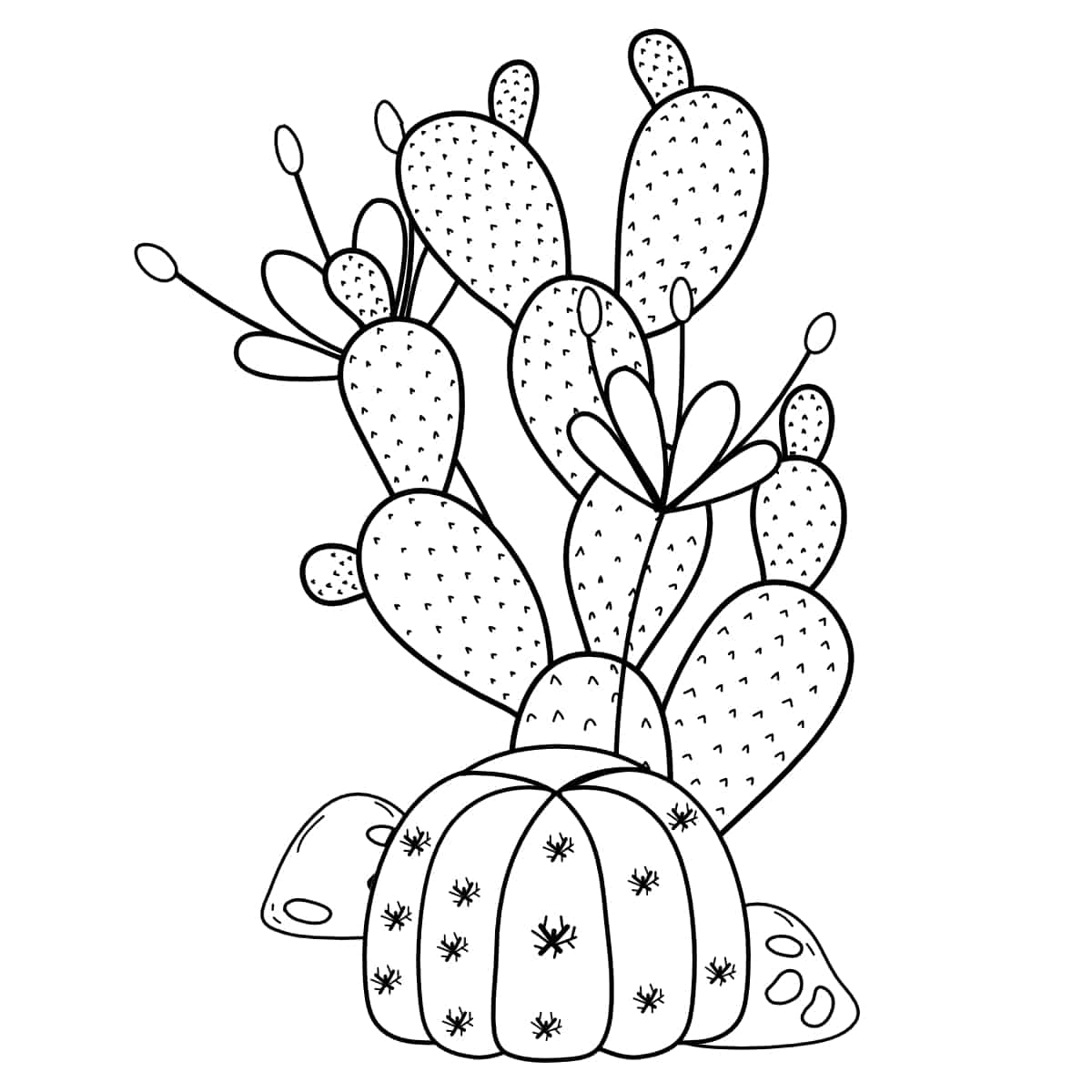 27 Free Cactus Coloring Pages (Printable PDFs)