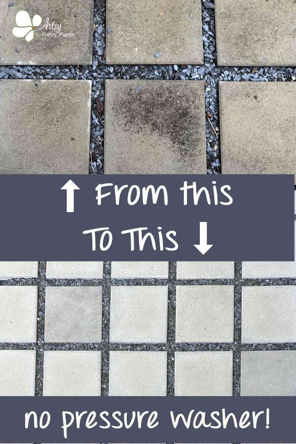 Before and after photo of patio with concrete pavers that are moldy, then clean pavers below..