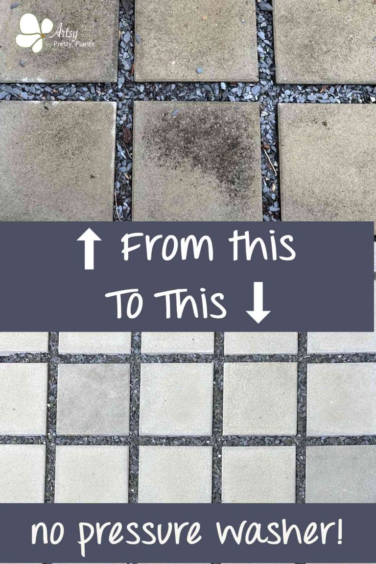 How To Clean Your Concrete Pavers (The Best Way) Artsy Pretty Plants