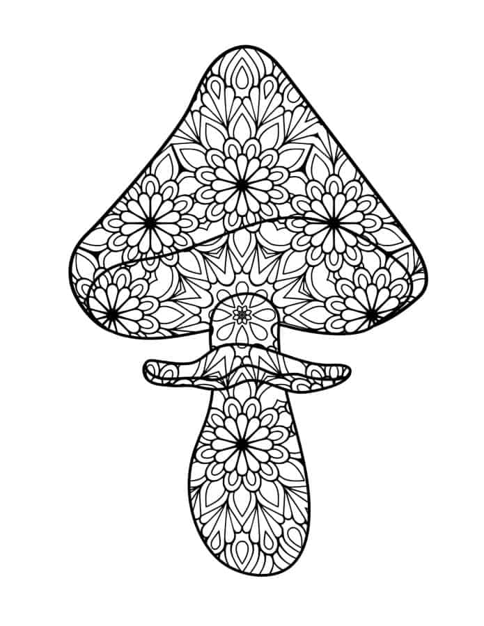 Detailed patterns inside an outline of a big mushroom coloring page.