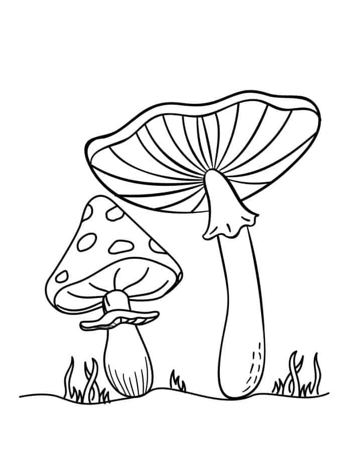 Coloring page of the underside of two realistic mushrooms.