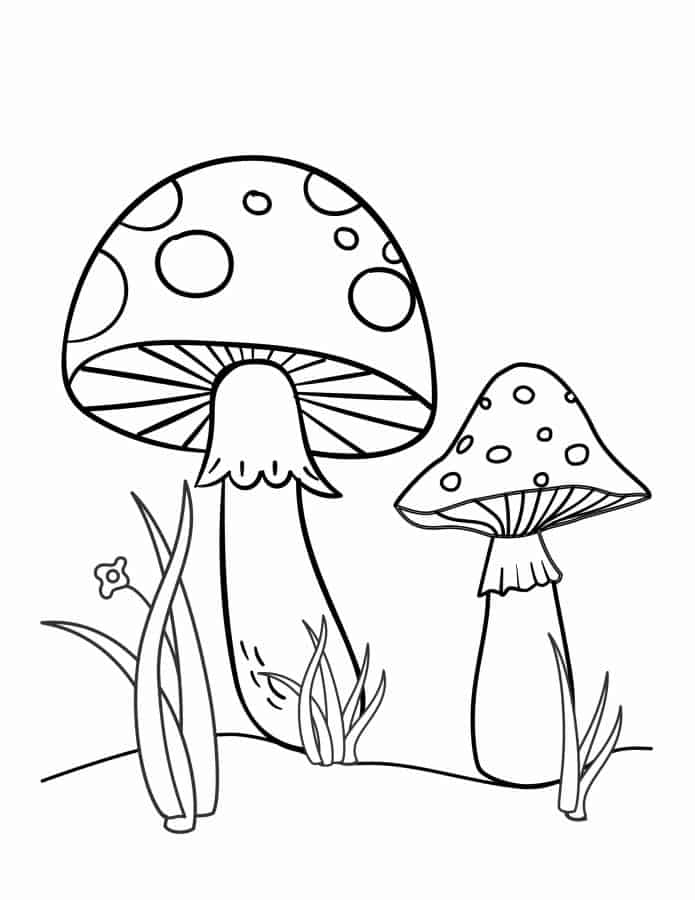 Coloring book page of two mushrooms in field.