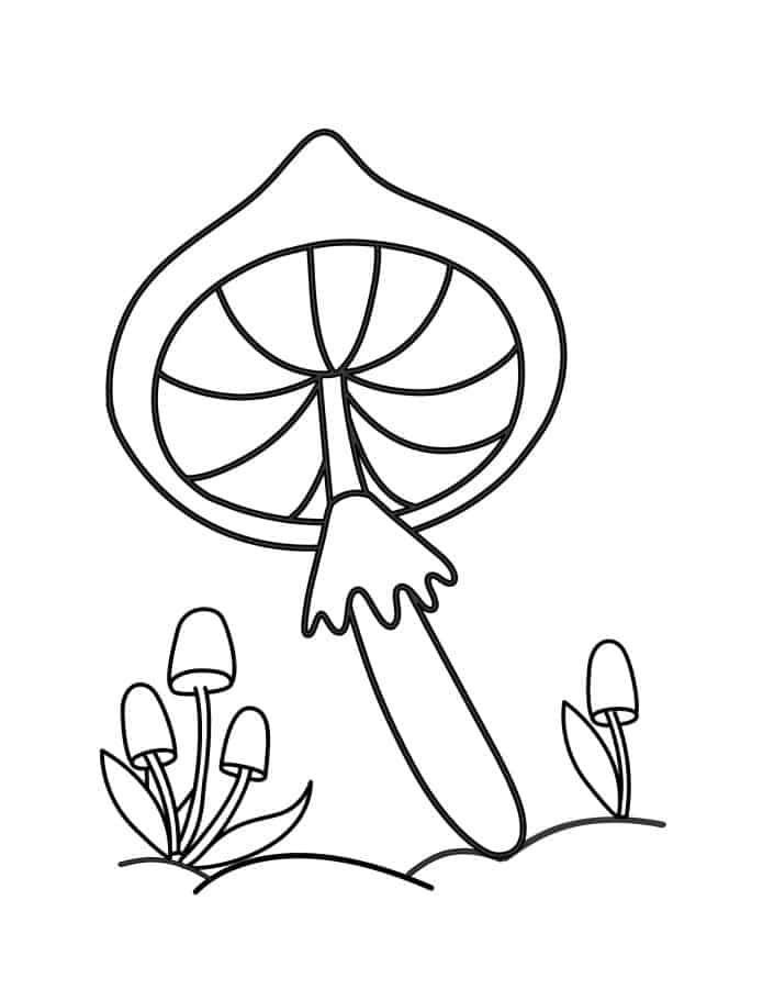 Simple outlines of a mushroom next to flowers.